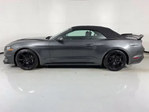 More photos of 2019 Ford Mustang EcoBoost Premium at MAG Auto - Munsterman Automotive Group, MO