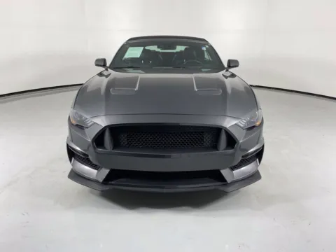 Photos of 2019 Ford Mustang EcoBoost Premium for sale in Blue Springs, MO at MAG Auto - Munsterman Automotive Group