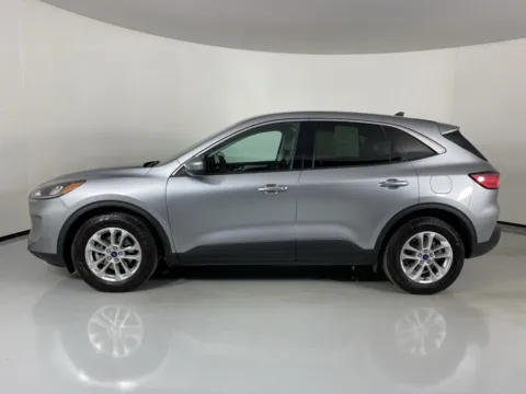 More photos of 2021 Ford Escape SE at MAG Auto - Munsterman Automotive Group, MO