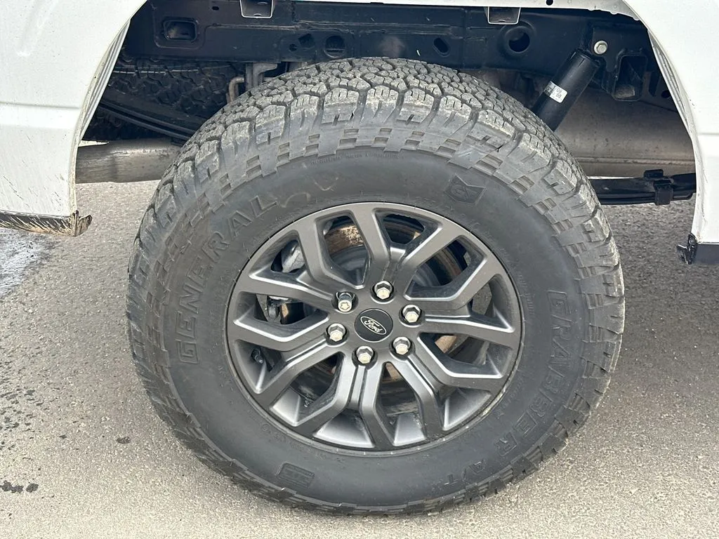 2025 Ford F-150 Tremor - Photo 17