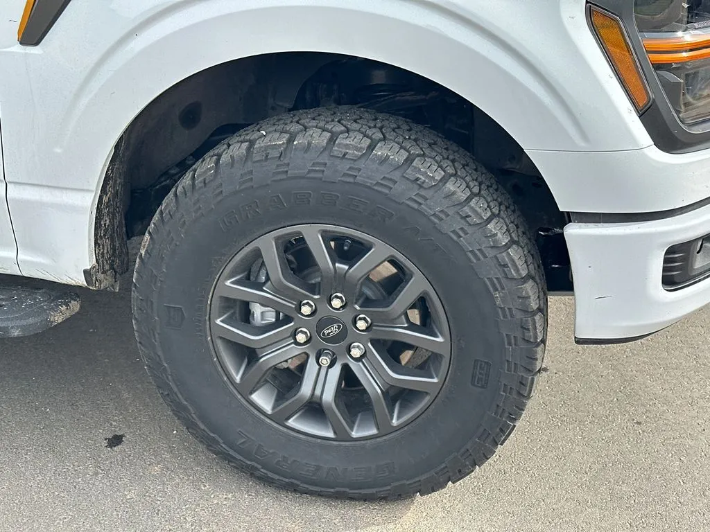 2025 Ford F-150 Tremor - Photo 12