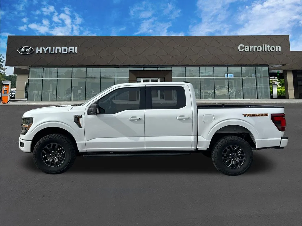 2025 Ford F-150 Tremor - Photo 8