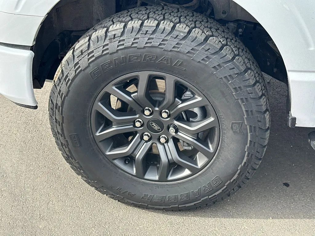 2025 Ford F-150 Tremor - Photo 11