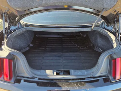 More photos of 2017 Ford Mustang GT at Hixson Ford Leesville, LA