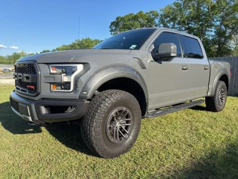 Gray 2020 Ford F-150 Raptor for sale in Leesville, LA
