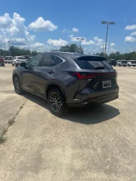 Another view of 2024 Lexus NX 250 Base for sale in Leesville, LA at Hixson Ford Leesville