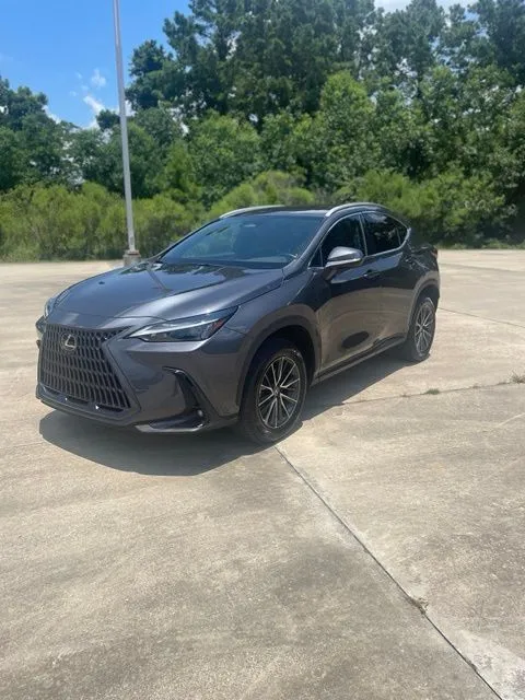 Gray 2024 Lexus NX 250 Base for sale in Leesville, LA