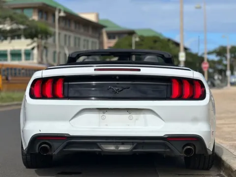 More photos of 2022 Ford Mustang EcoBoost at Aloha Auto Depot LLC., HI