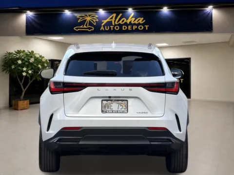 More photos of 2024 Lexus NX 250 Premium at Aloha Auto Depot LLC., HI