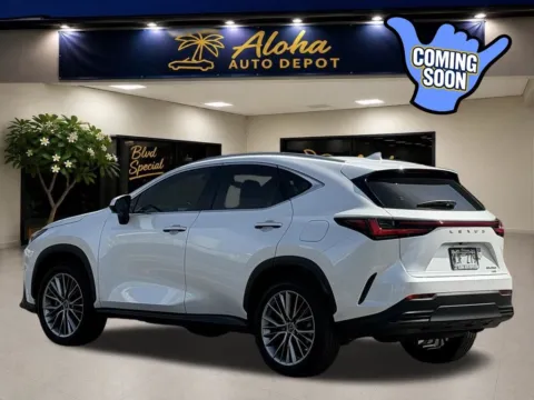 Another view of 2022 Lexus NX 350 Luxury for sale in Honolulu, HI at Aloha Auto Depot LLC.