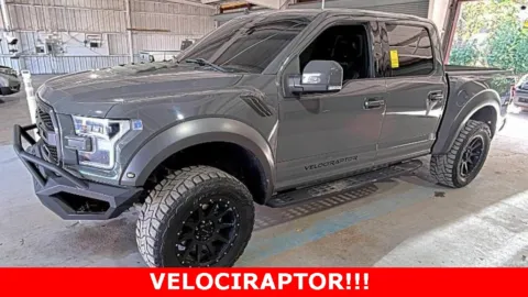 Gray 2020 Ford F-150 Raptor for sale in Madison, NC