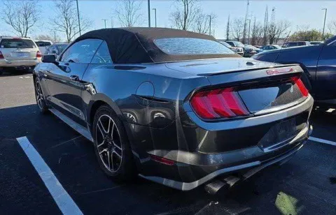 More photos of 2019 Ford Mustang GT Premium at Smart Chevrolet, NC