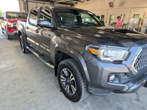 Gray 2019 Toyota Tacoma TRD Sport for sale in Madison, NC