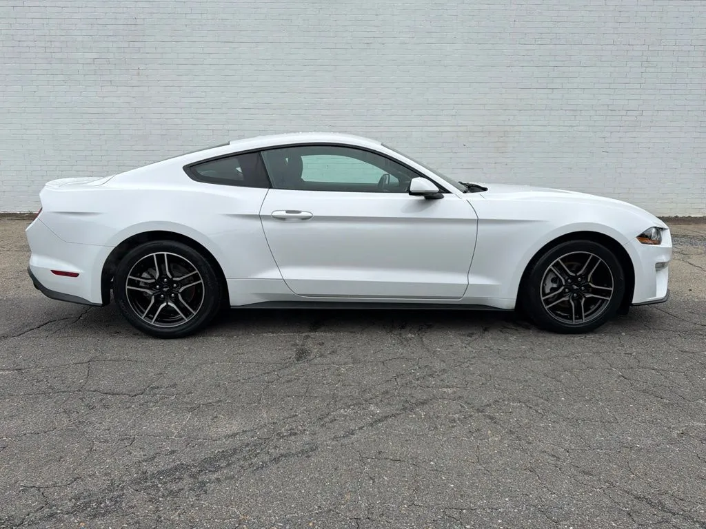 White 2019 Ford Mustang EcoBoost for sale in Madison, NC