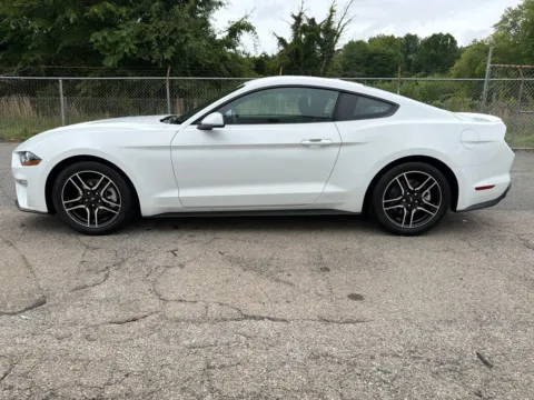 More photos of 2019 Ford Mustang EcoBoost at Smart Chevrolet, NC