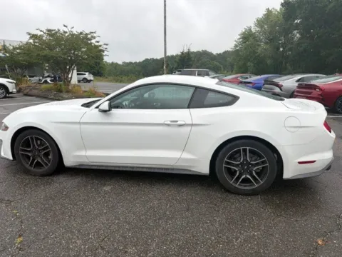 More photos of 2019 Ford Mustang EcoBoost at Smart Chevrolet, NC