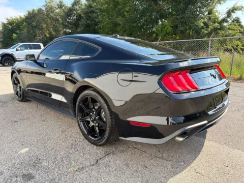 More photos of 2019 Ford Mustang EcoBoost at Smart Chevrolet, NC