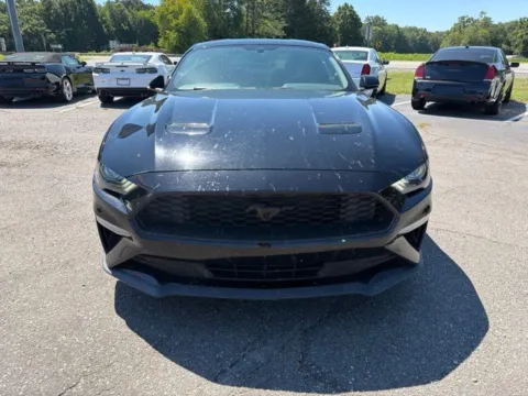 Photos of 2019 Ford Mustang EcoBoost for sale in Madison, NC at Smart Chevrolet