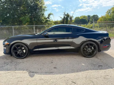 More photos of 2019 Ford Mustang EcoBoost at Smart Chevrolet, NC