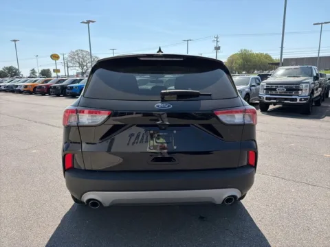 More photos of 2022 Ford Escape SE at Smart Ford, VA