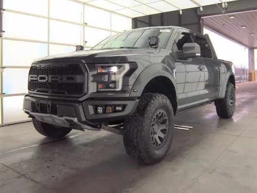 Gray 2018 Ford F-150 Raptor for sale in South Boston, VA
