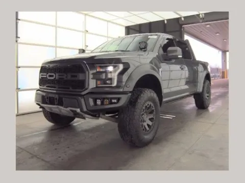 Gray 2018 Ford F-150 Raptor for sale in South Boston, VA