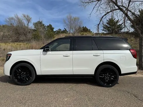 White 2026 Ford Expedition Max Platinum for sale in South Boston, VA