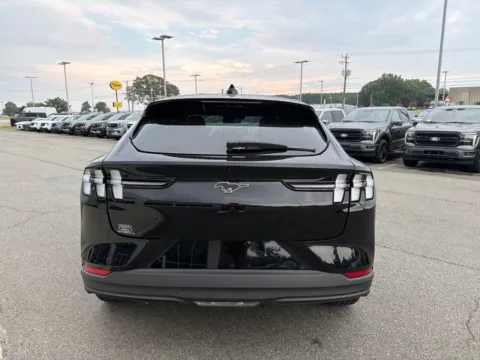 More photos of 2025 Ford Mustang Mach-E Premium at Smart Ford, VA