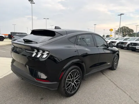 More photos of 2025 Ford Mustang Mach-E Premium at Smart Ford, VA
