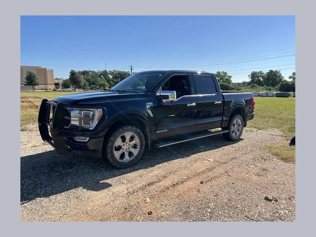 Blue 2023 Ford F-150 Platinum for sale in South Boston, VA