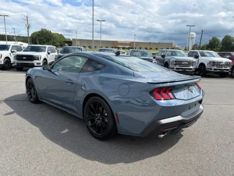 More photos of 2026 Ford Mustang EcoBoost at Smart Ford, VA