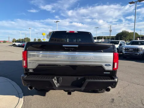 More photos of 2019 Ford F-150 Limited at Smart Ford, VA