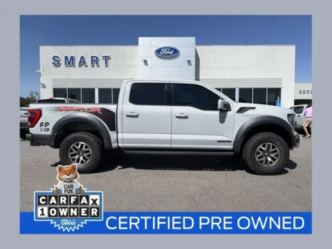 Gray 2023 Ford F-150 Raptor for sale in South Boston, VA
