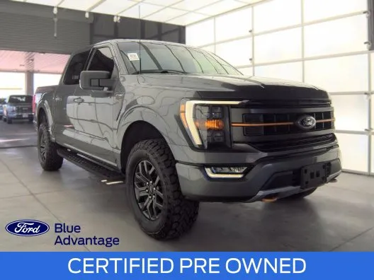 Gray 2023 Ford F-150 Tremor for sale in South Boston, VA