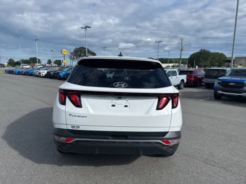 More photos of 2024 Hyundai Tucson SEL at Smart Ford, VA