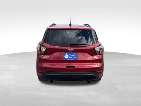 More photos of 2017 Ford Escape SE at Gregg Young Chevrolet - Omaha, NE