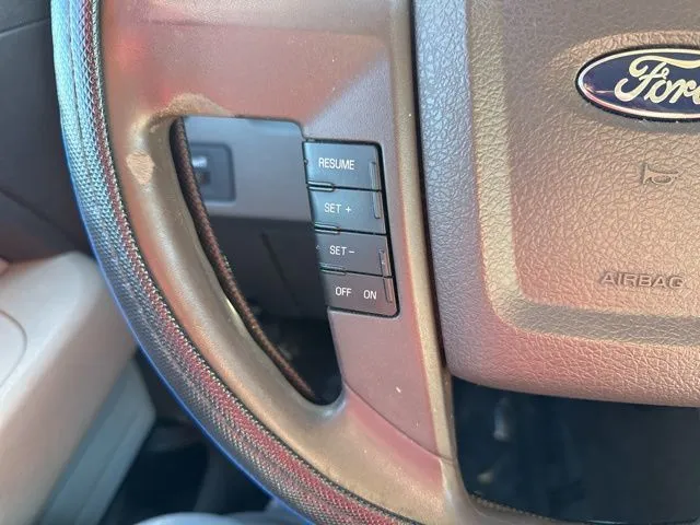 2010 Ford F-150 Platinum photo 4