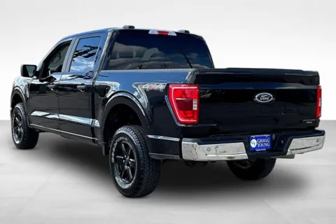More photos of 2023 Ford F-150 XLT at Gregg Young Chevrolet Marshalltown, IA