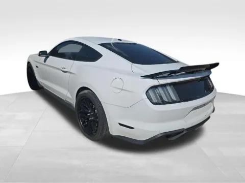 Another view of 2019 Ford Mustang GT for sale in Ottumwa, IA at Gregg Young Toyota of Ottumwa