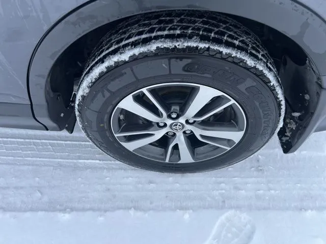 2016 Toyota RAV4 XLE photo 2