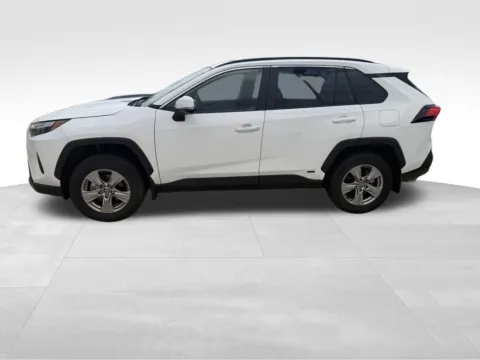 More photos of 2025 Toyota RAV4 Hybrid XLE at Gregg Young Toyota of Columbus, NE