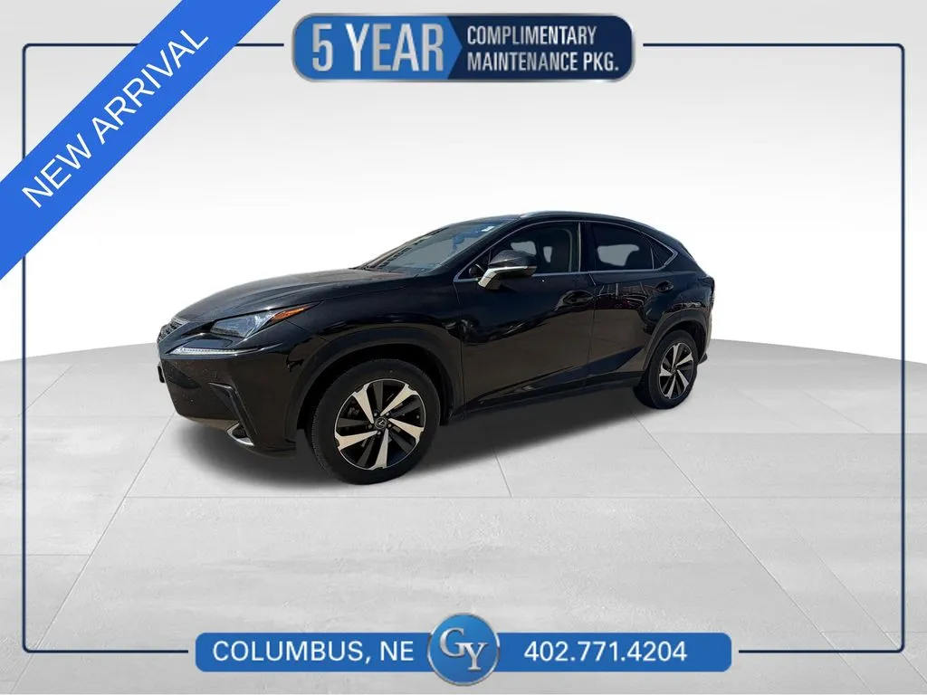 Black 2019 Lexus NX 300 Base for sale in Columbus, NE