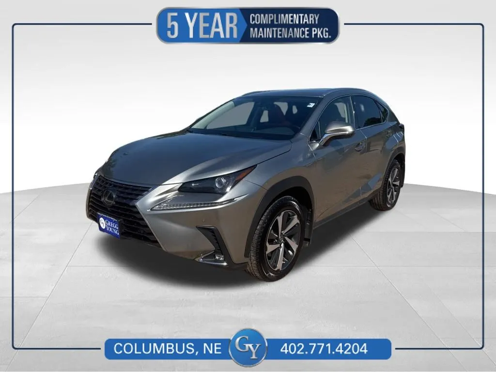 Silver 2021 Lexus NX 300 Base for sale in Columbus, NE