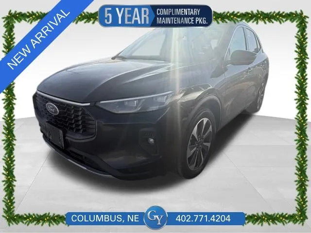 Gray 2024 Ford Escape Platinum for sale in Columbus, NE