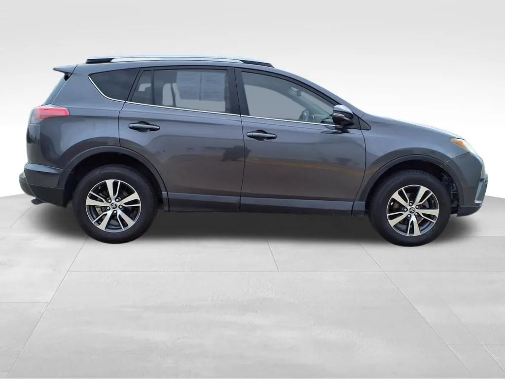 2018 Toyota RAV4 XLE photo 2