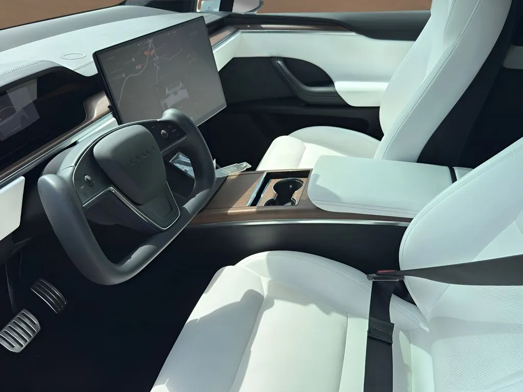 Tesla Model X photo 11