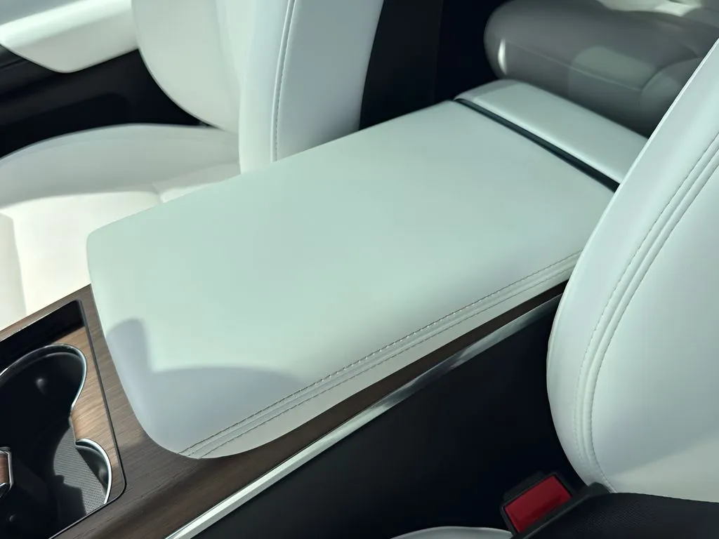 Tesla Model X photo 14