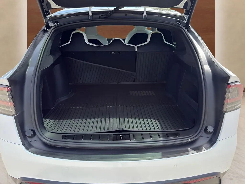 Tesla Model X photo 8