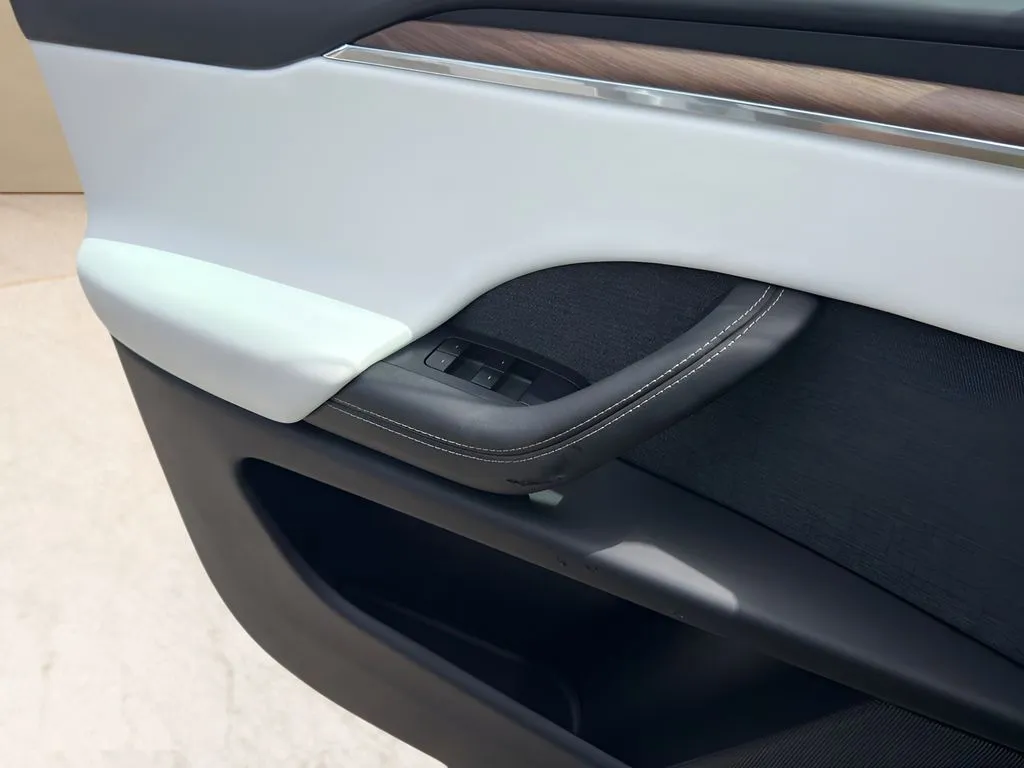 Tesla Model X photo 22