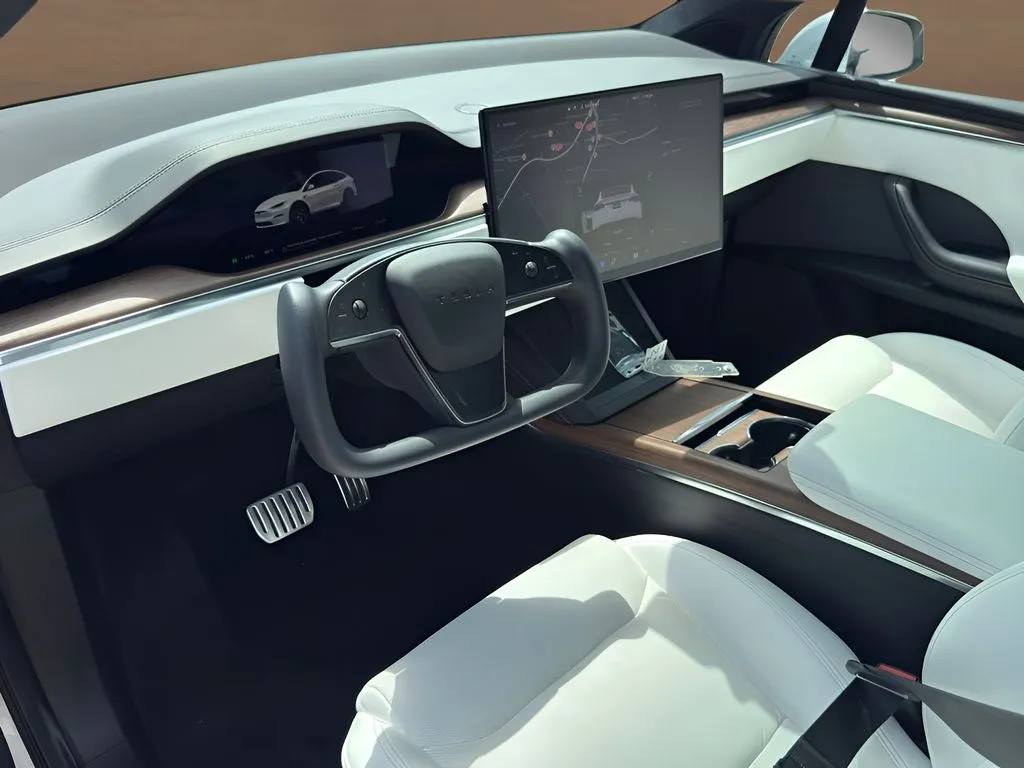 Tesla Model X photo 10